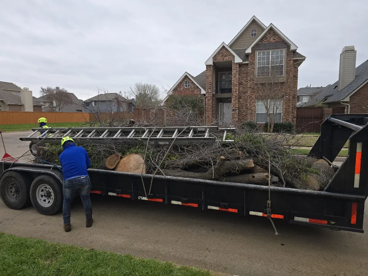 Expert Tree Removal with proper safety equipment in Port Aransas